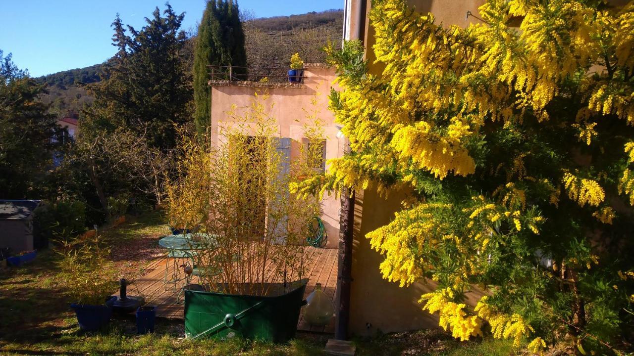 Le Chemin de Lauzières Hotel Octon Esterno foto